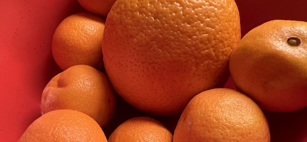 oranges