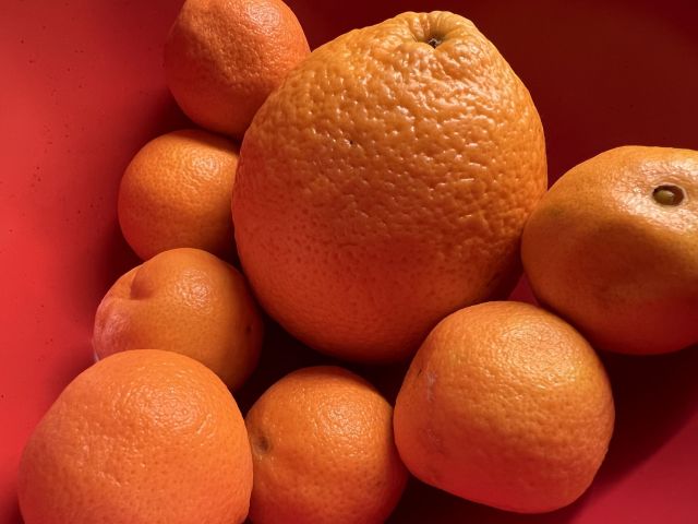 oranges