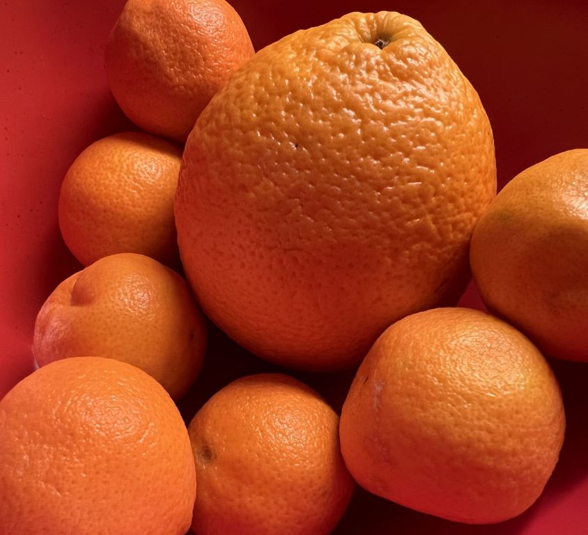 oranges