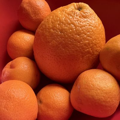 oranges